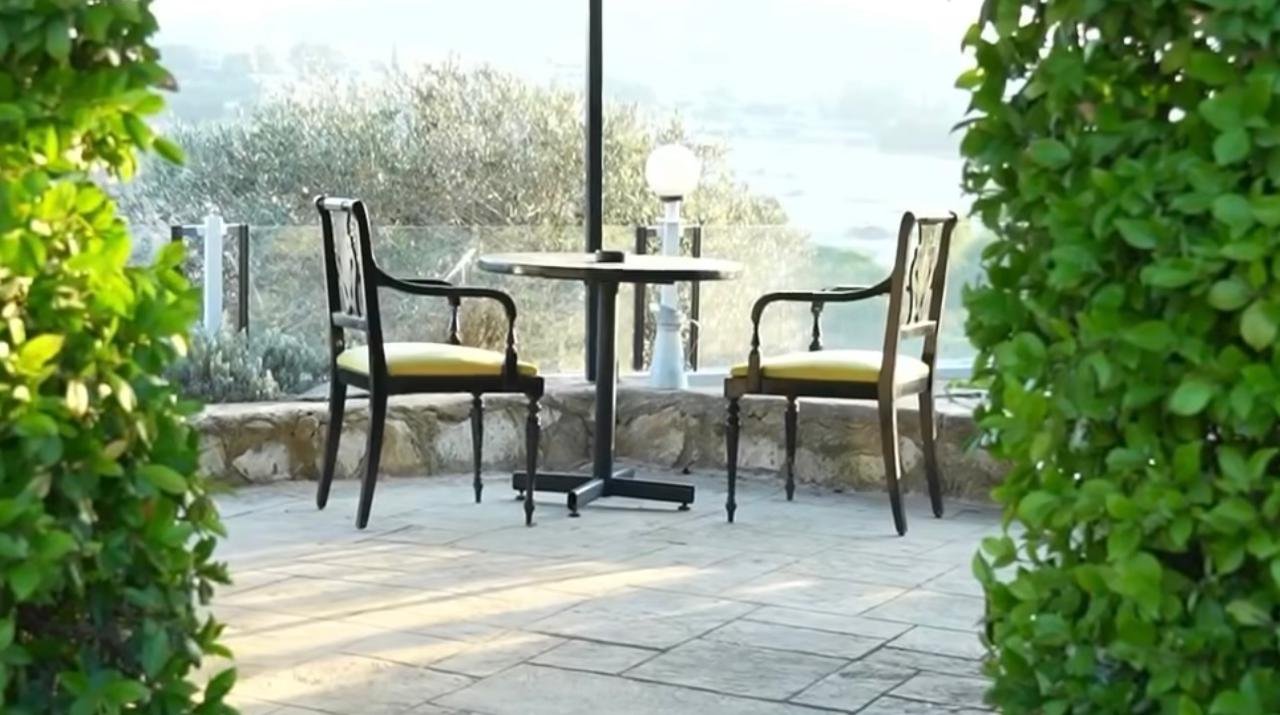 A beautiful and cozy coffee shop interior with plants